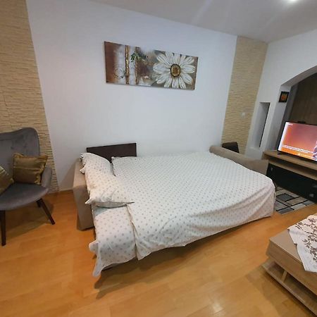 Monik Apartament 锡纳亚 外观 照片