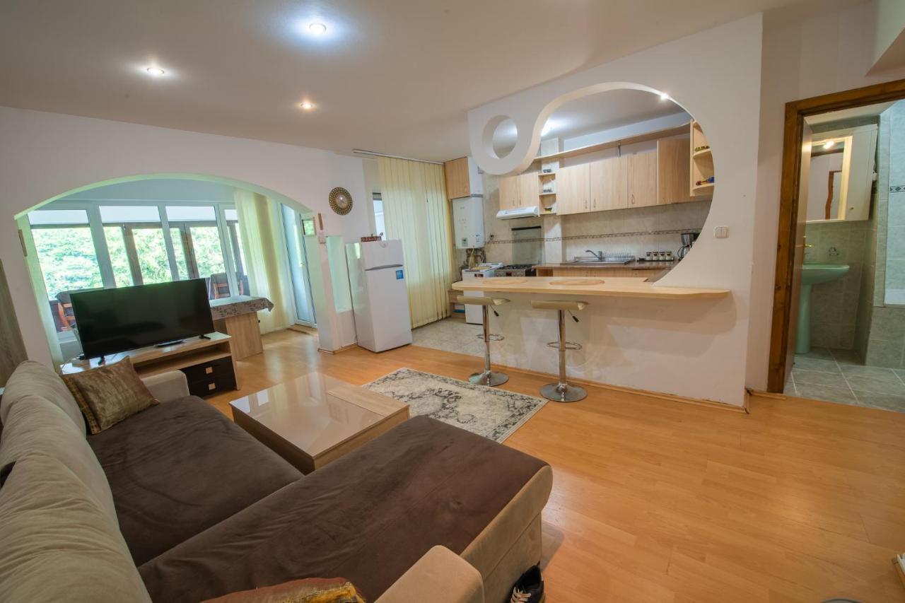 Monik Apartament 锡纳亚 外观 照片