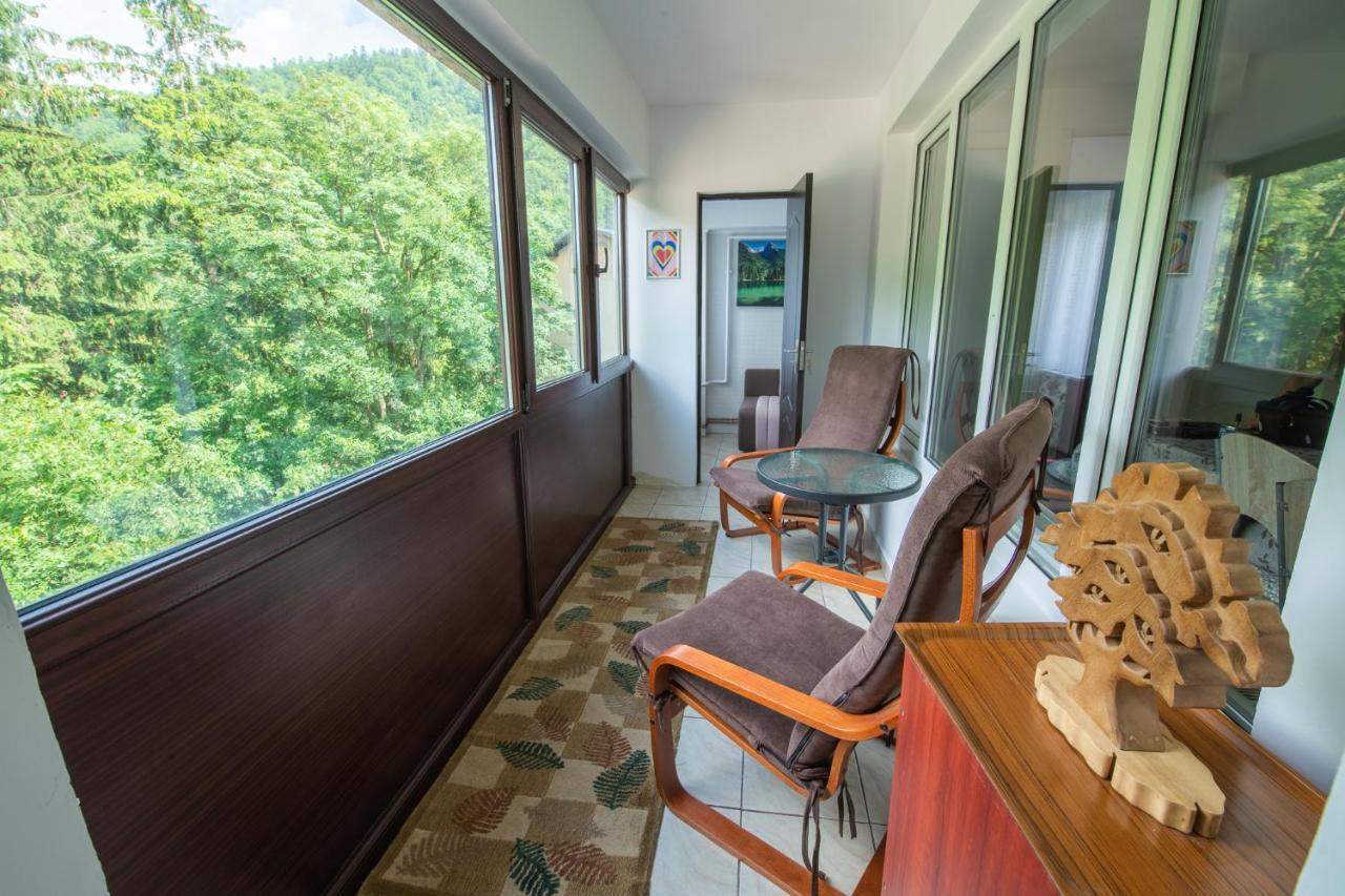 Monik Apartament 锡纳亚 外观 照片