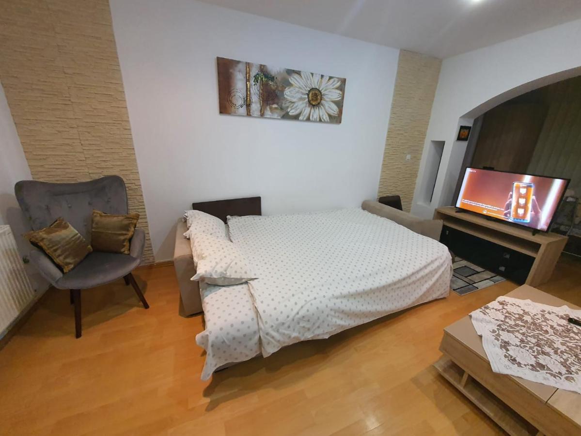 Monik Apartament 锡纳亚 外观 照片