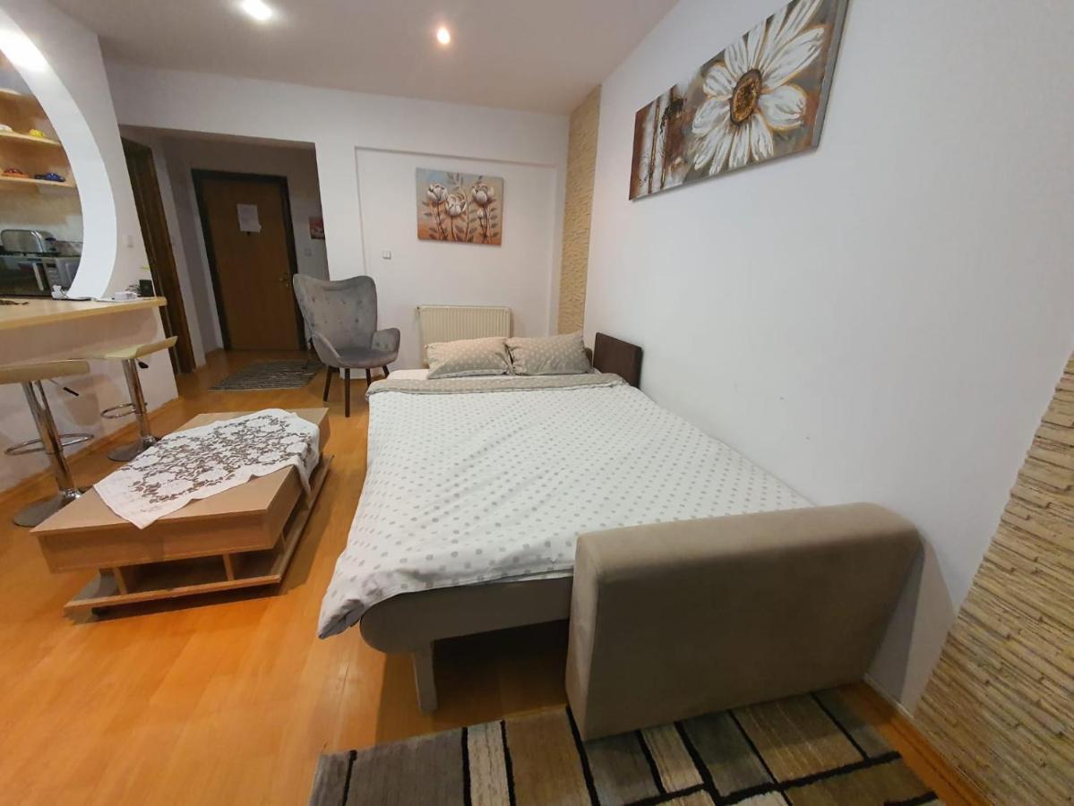 Monik Apartament 锡纳亚 外观 照片