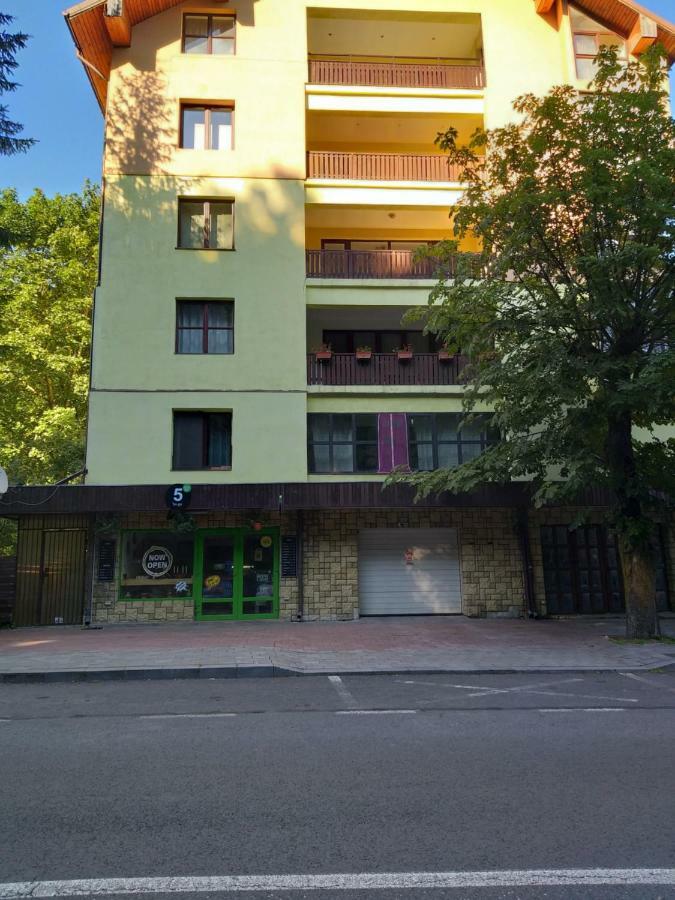 Monik Apartament 锡纳亚 外观 照片